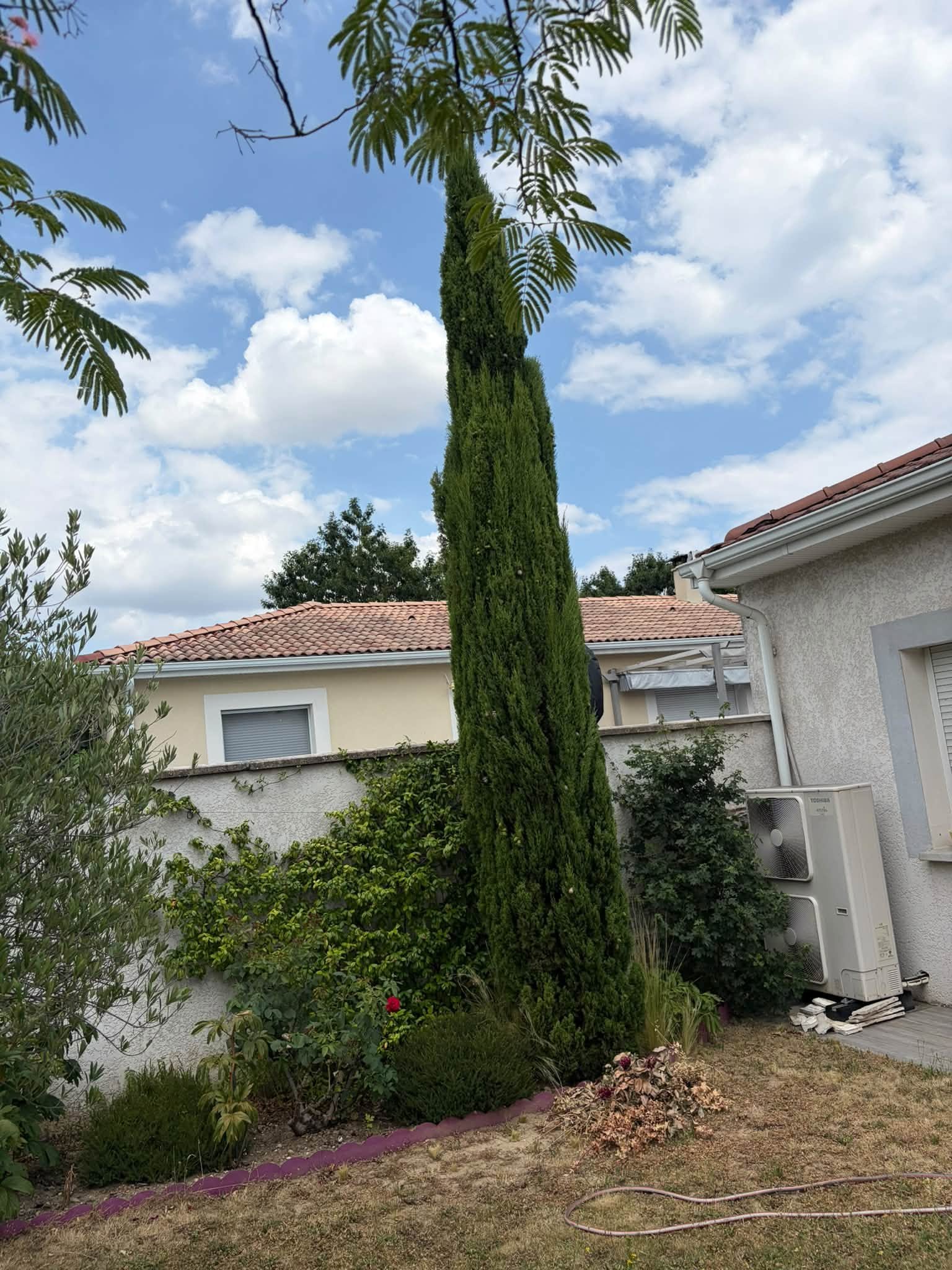 Taille de haie et débroussaillage